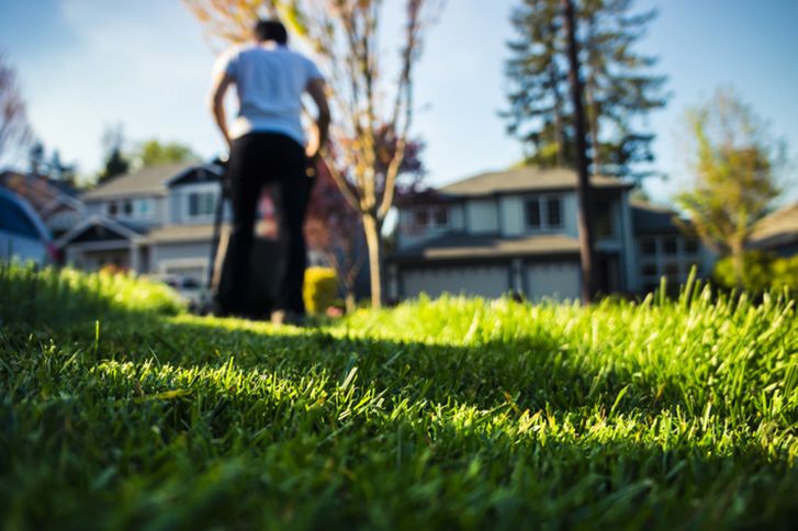 Tulsa Lawn Care | Ask Questions