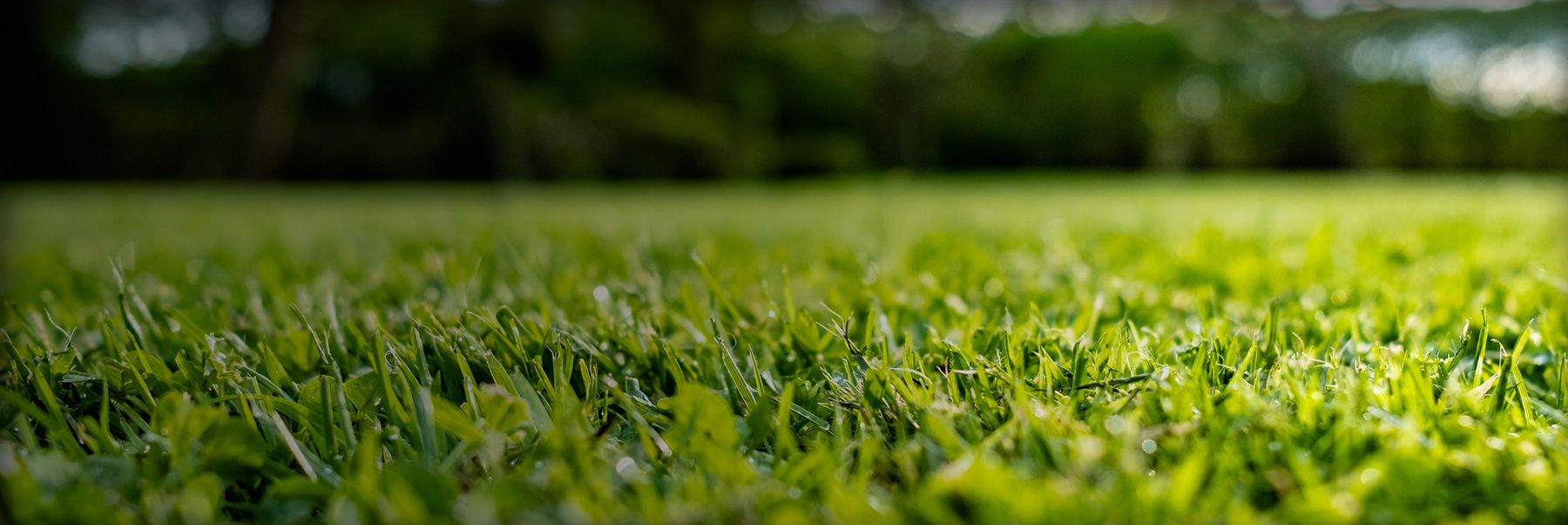 Tulsa Lawn Care When Do You Have TIme To Mow?