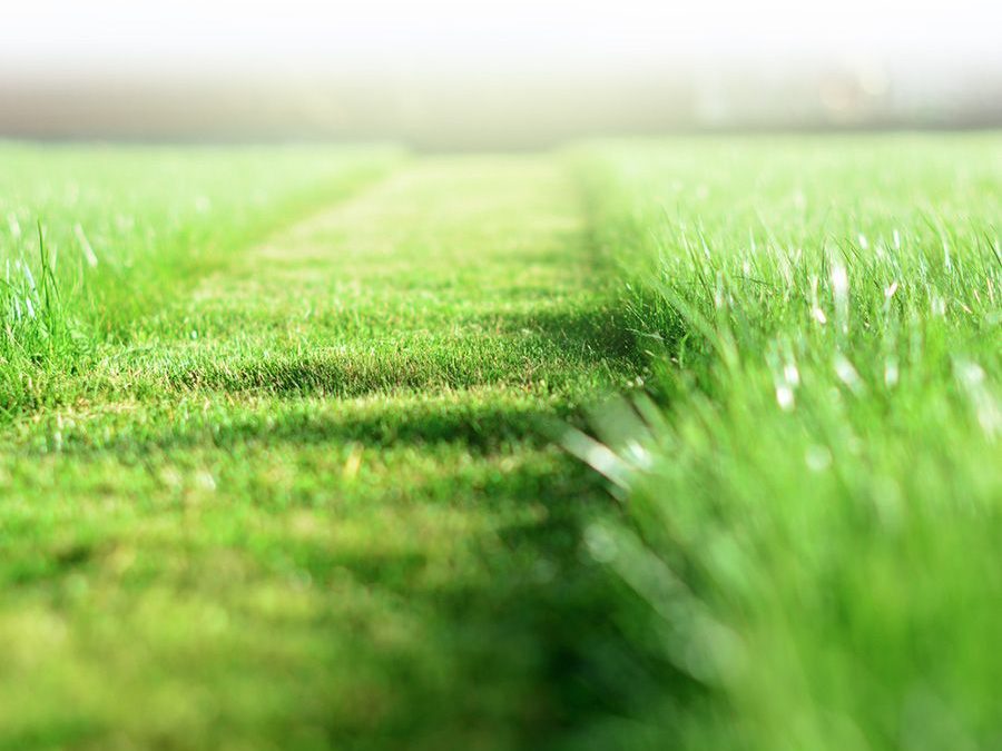 Tulsa Lawn Care Mowed Grass